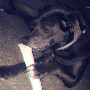 Meet your Posher, Shelly